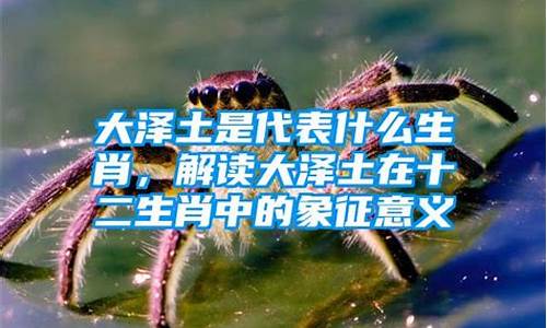 生肖大泽土是什么意思_生肖大泽土是什么动物