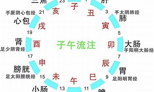 子午十二生肖数据_子午寅十二生肖怎么读