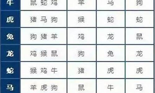 双数的生肖指的是什么_双数八遇最佳生肖