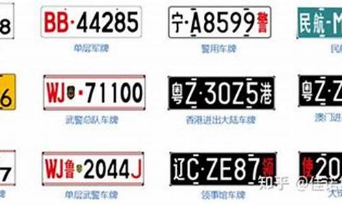 车牌4939代表什么生肖_车牌号499寓意