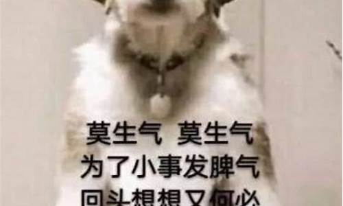 莫生气出处_请莫生气什么生肖