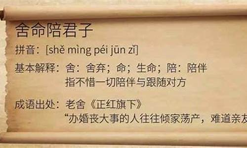 什么生肖舍命陪君子_什么生肖舍命陪君子最好