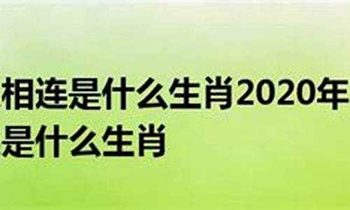 手足相连打一个字_手足相连指什么生肖龙