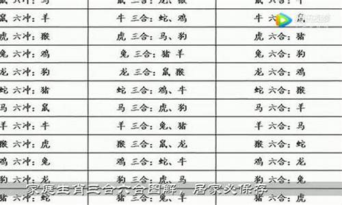 霸气和光明什么生肖_光有霸气不管用的意思