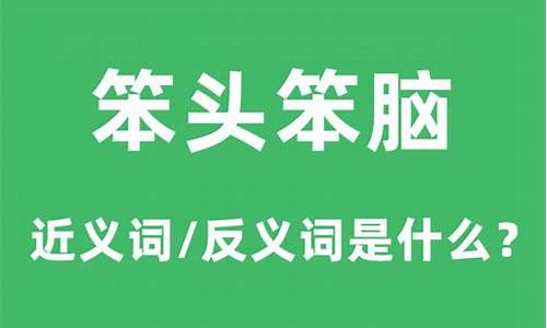 笨头笨脑它排一是什么生肖_笨头笨脑指的是什么生肖