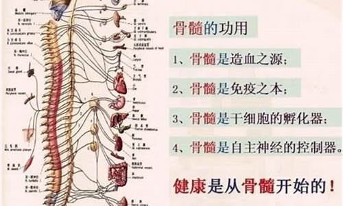 敲骨验髓的故事_敲骨榨髓是什么生肖动物