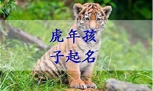 小老虎宝宝名字_老虎生肖的宝宝小名怎么取