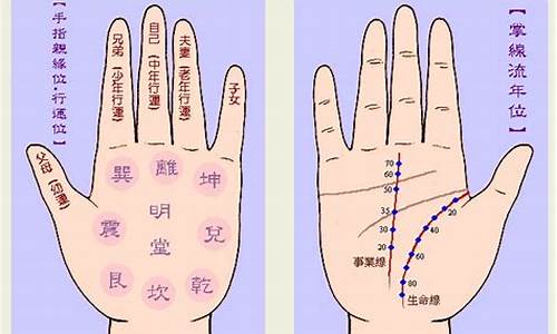 手相算出生肖的准吗_手相生肖算命图解大全