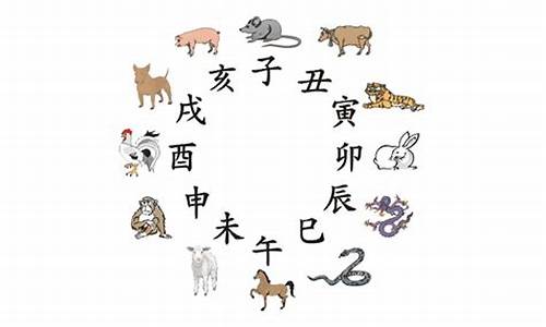 本是十二生肖那个叫本_本字打什么生肖