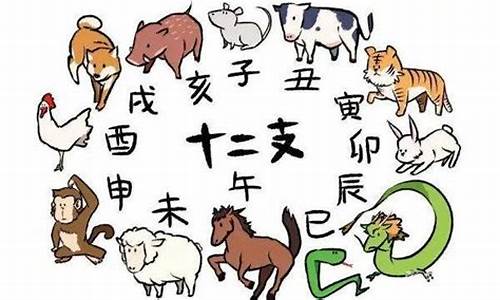 生肖猴生了个虎宝宝_我属猴生了个虎宝宝