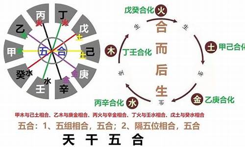 天干相合怎么理解_天干相合指的是什么生肖