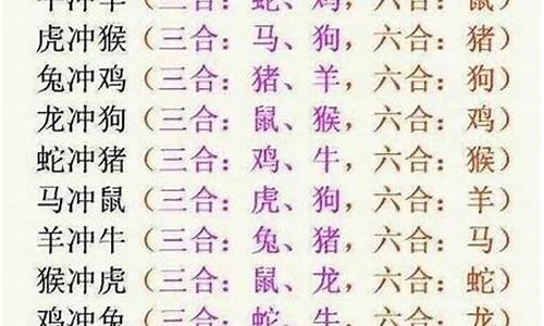 行不更名是什么生肖_行不更名是什么生肖数字