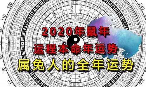 生肖兔2020年运势大全_2024年生肖兔1987运势大全