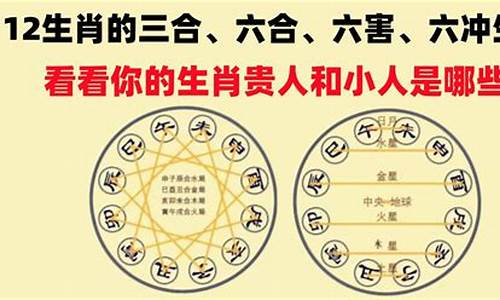 提示老师指定什么生肖_老师猜一生肖