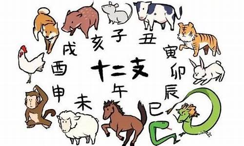 抛头露面表示什么生肖_抛头露面是什么数字