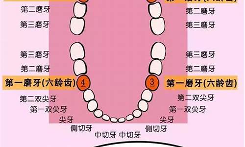 磨牙的是什么生肖_磨牙的是什么生肖动物