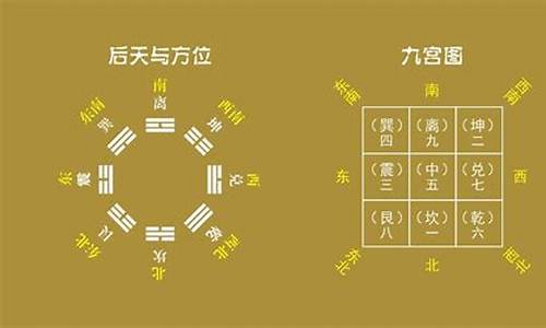 中宫一孤定一格打一生肖_中宫打一数字