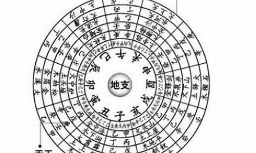 纳音五行生肖五行哪个最重要_纳音五行与生肖五行