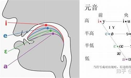 舌位过高_舌位高低指什么生肖