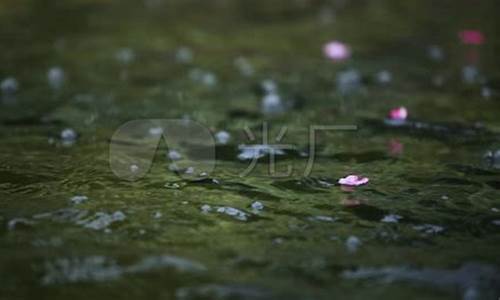 落花流水最佳生肖_落花流水空青山生肖