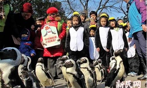 漫步是代表什么动物_漫步比喻哪些动物和生肖