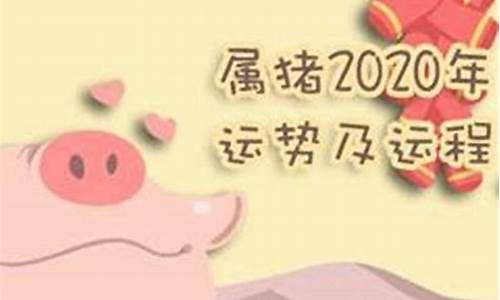 生肖猪今年财富排名_2021年生肖猪的财运