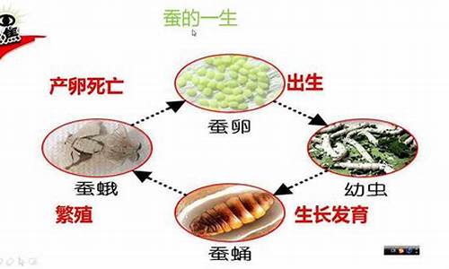 表示不断改变的成语_不断改变的动物打一生肖