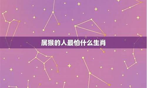 被生肖猴人牵挂的星座_属猴的真心给了谁