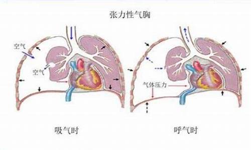 气势汹汹的是什么生肖_气势汕汹很得意什么生肖