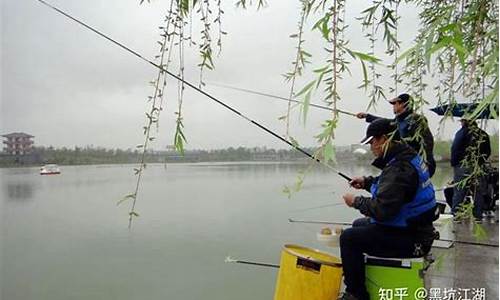 46号鱼饵是什么生肖_钓鱼46号搭配