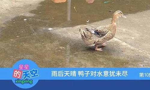 雨后天晴指什么生肖_雨后天晴猜生肖