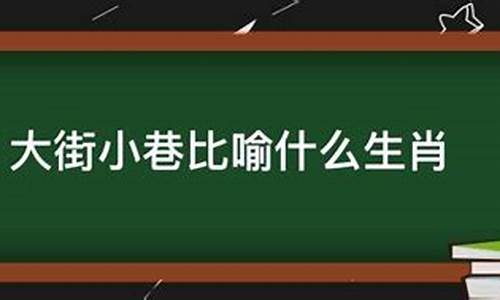 大街小巷猜生肖_大街小巷什么生肖