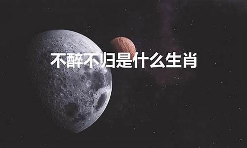 平生不什么_平生好醉不好斗的生肖