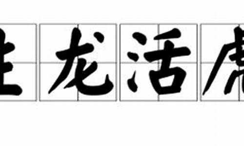 生龙活虎是什么生肖_生龙活虎是什么生肖是不是兔生肖