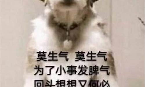 请莫生气什么生肖_请莫生气什么生肖啊