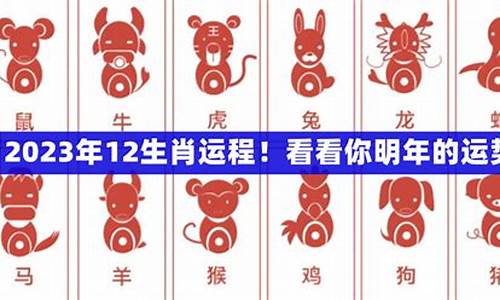 生肖运势2023年运程搜狐网_生肖运势2023