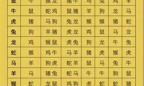 你们不合适的说说_你们不合适打生肖