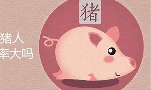 属猪今年寄谁生肖-属猪的今年属什么