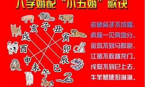 道教属虎带什么生肖-道教属虎带什么生肖饰品