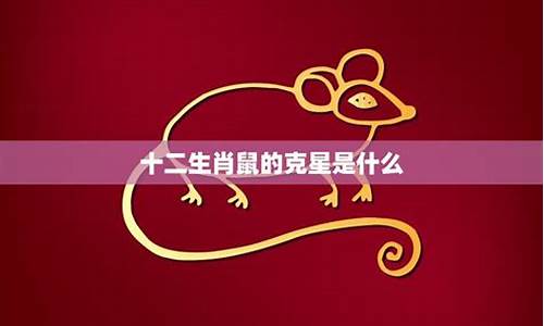 生肖属鼠的克星是什么动物-生肖属鼠的克星是什么