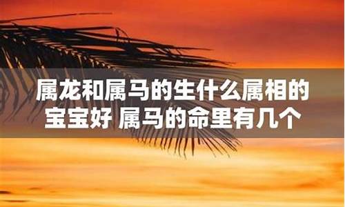 生肖属龙和属马好不好-属龙和属马的生什么生肖