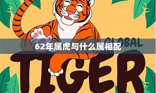 62年属虎生肖属-62年属虎生肖属相是什么