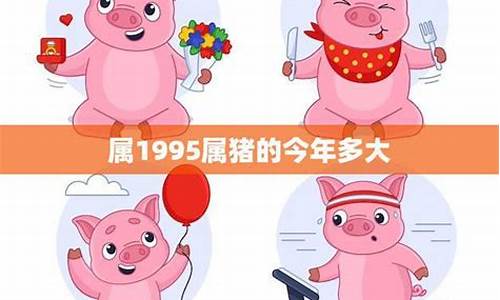 属猪1995出生是什么命-生肖属猪介绍1995