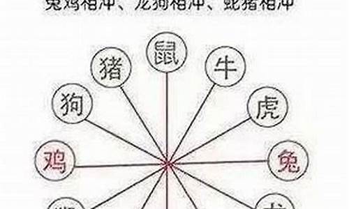 12生肖属鼠的和什么相冲-生肖属鼠的于什么相冲