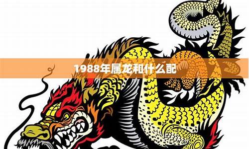 1988生肖龙和什么生肖最配-1988属龙生肖配对