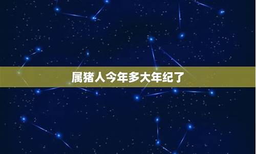 生肖属猪多大年纪了啊-生肖属猪是多少岁