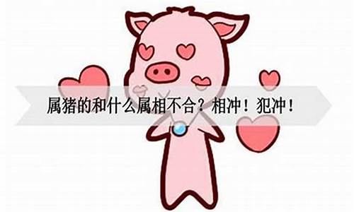 猪属相败月是什么意思-属猪暗犯血败子的生肖