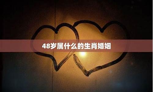 48岁属猪生肖婚配-属猪48岁属什么生肖