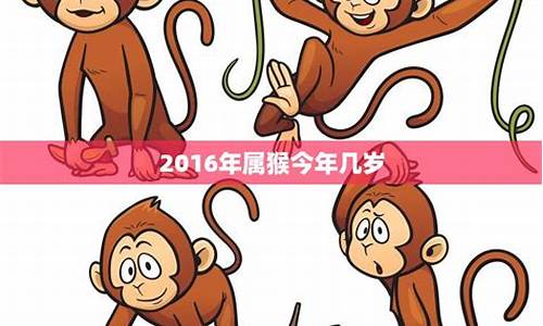 生肖属猴今年几岁牛肖-属猴的今年几岁啊?