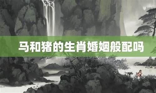 生肖属马和属猪的合不合-生肖属马和属猪般配吗